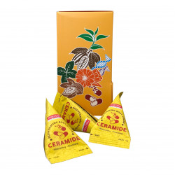 Крем для тела Rejuvenating Body Cream Ceramide Purederm