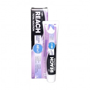 Зубная паста Reach Total Solution Clean Mint LG H&H