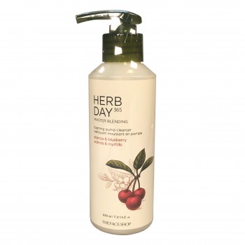 Пенка для умывания Master Blending Foaming Pump Cleanser Acerola&Blueberry Herb Day 365 The Face Shop
